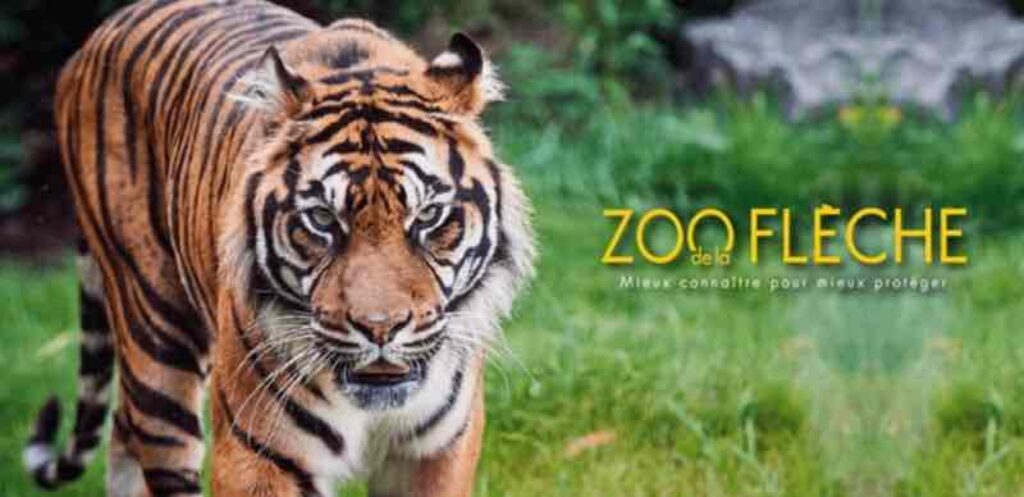 vente privée zoo de la fléche (une saison au zoo) pas cher