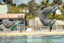 Marineland moins cher