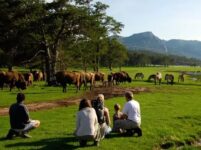 promo billet reserve monts d'azur