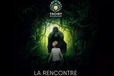 reduction zoo safari de thory billet adulte avec groupon