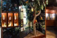 code promo reduction visite musée du chocolat paris choco-story