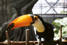 code promo reduction Green Planet Dubai