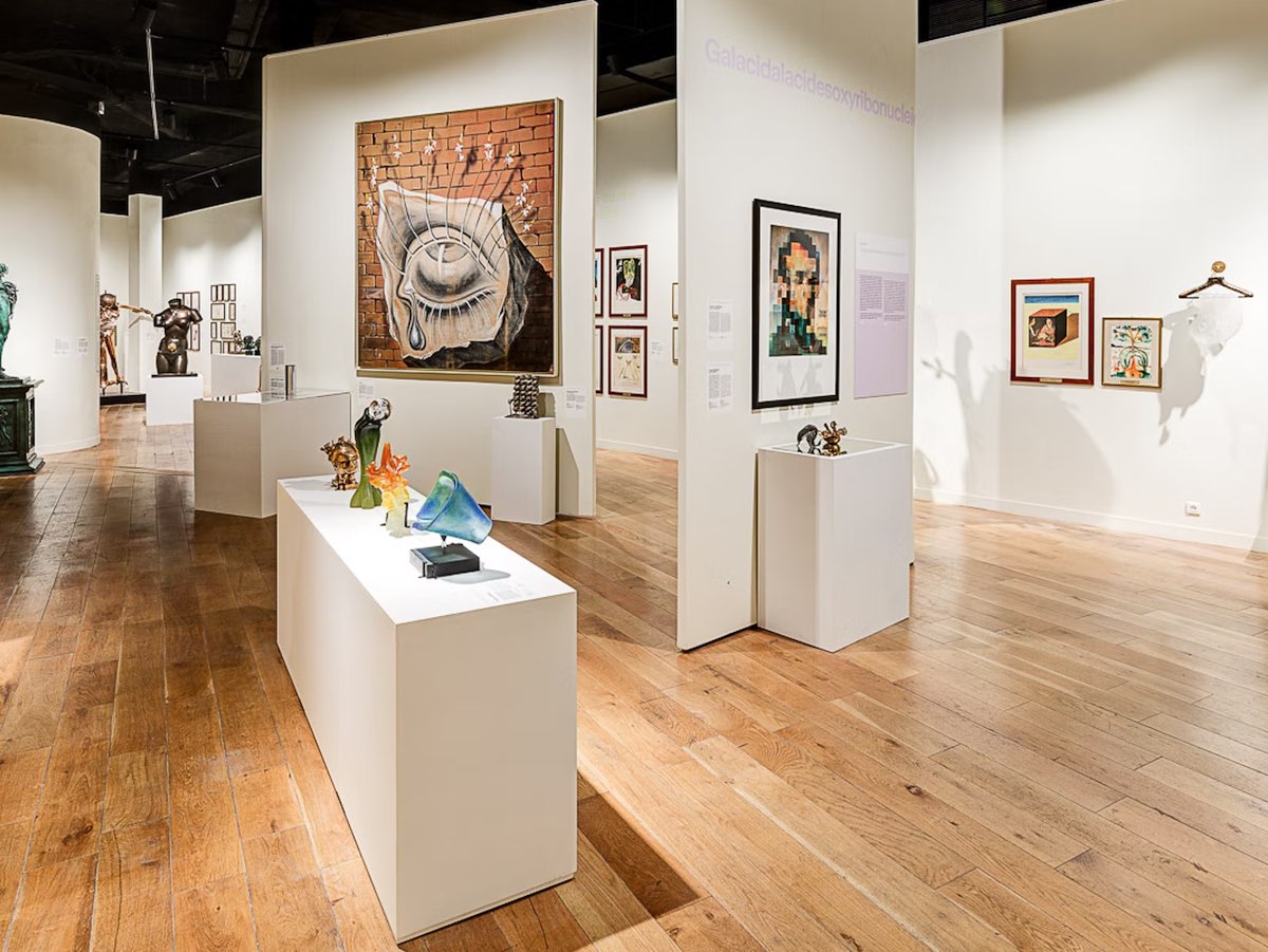 Code promo Dali Paris réduction sur le billet d'entrée au musée Dali