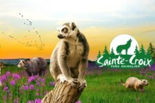 Vente privée billet parc sainte-croix à tarif pas cher avec Showroom privé