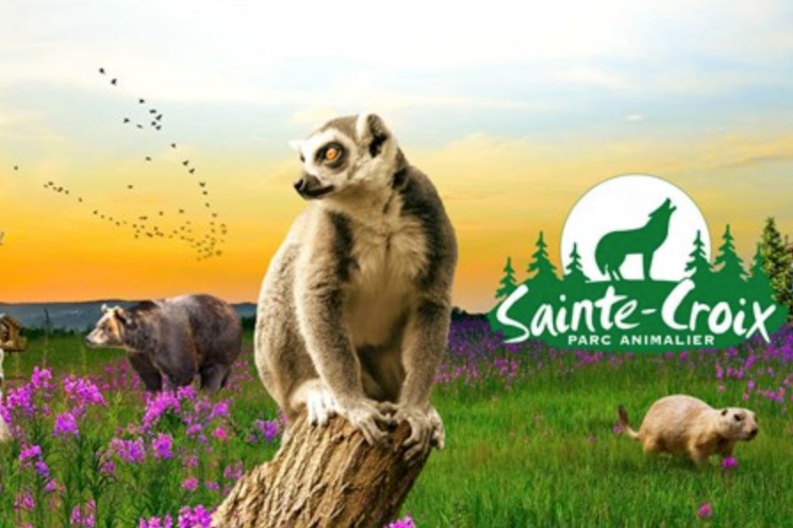 Vente privée Parc Sainte-Croix : 30% de réduction sur tous les billets !