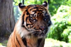 promo reduction zoo maubeuge