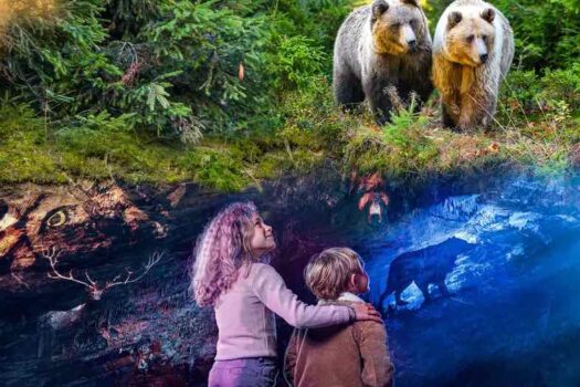 Promo grottes de han et parc animalier en belgique pas cher