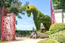 réduction billets Terra Botanica en vente flash