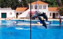 promo zoo de Lisbonne