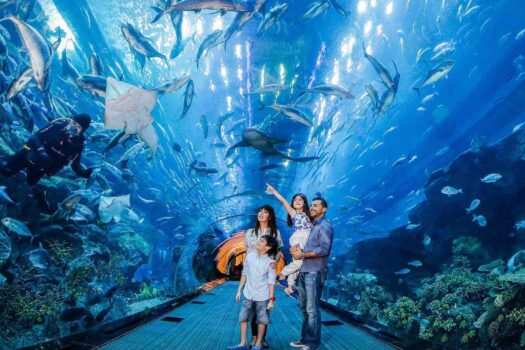 promo aquarium dubai The Lost Chamber Atlantis