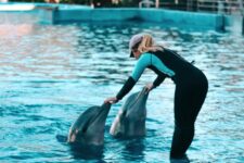 promo oceanografic valence