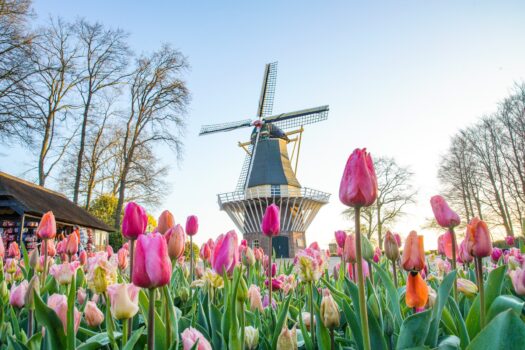 réduction jardin des tulipes Keukenhof pas cher code promo