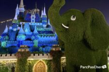 Code promo réduction billet d'entrée Miracle Garden Dubai