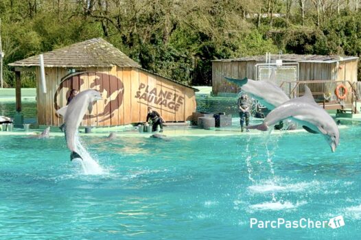 Promo Planete Sauvage billet et sejour pas cher en vente privée