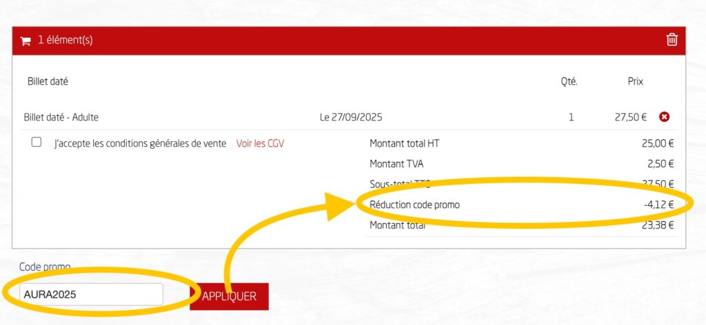 Code promo Vulcania : saisie