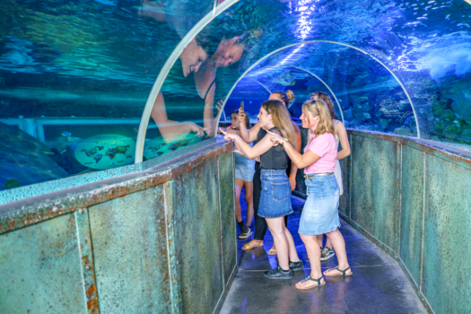 code promo reduction aquarium de touraine