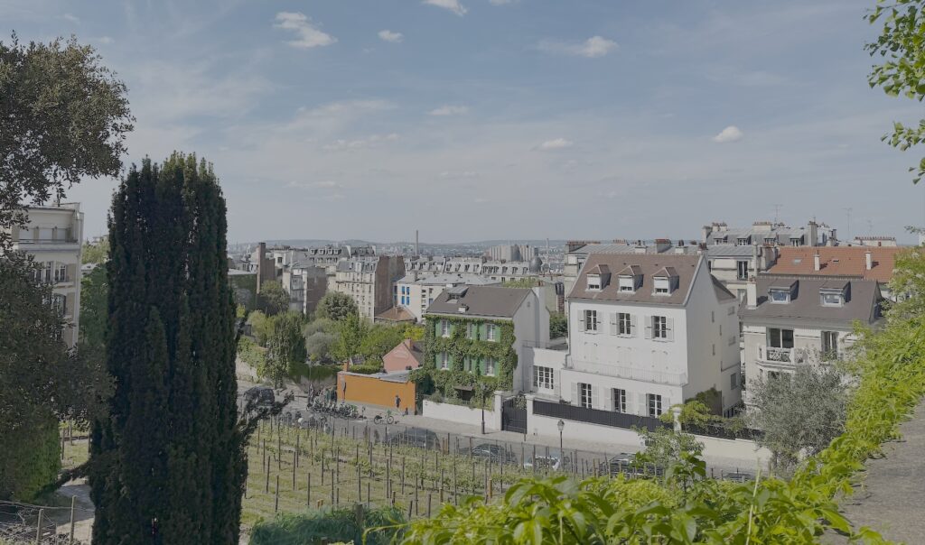 Vigne de Montmartre depuis le musée