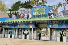 jeu concours pour gagner billet dentrée journée et séjour hotel au zo de beauval