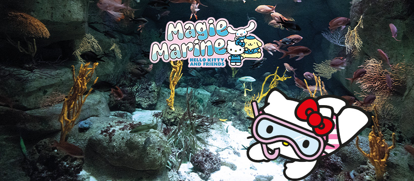 Hello Kitty Noël Aquarium de Paris