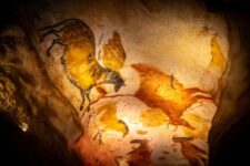 promo réduction grotte de lascaux
