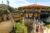 Promo Bioparc Doué : billets zoo pas chers et coupe-file