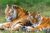 Promo Zoo du Bois d&rsquo;Attilly : billet moins cher !