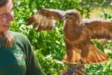 Code promo Krazy World : réduction pour le zoo et parc interactif d&rsquo;Algarve