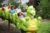 Réduction LEGOLAND Windsor : billet pas cher via code promo et en euros