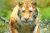 Billet Zoo de la Barben pas cher : promo -3€ sur la journée