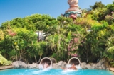 Réduction Siam Park : meilleur parc aquatique du monde (Ténérife)