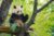 Zoo Aquarium de Madrid : réduction code promo sur le billet coupe-file !