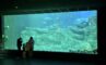 code promotionnel aquarium de paris photo