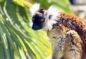 Bon plan Planete Sauvage