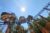 Promo Animaparc Occitanie : billet moins cher