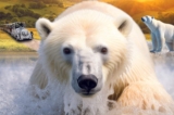 Promo Cerza – Zoo de Lisieux : billet moins cher en vente flash !