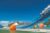 Code de réduction Mirabilandia : code promo valide sur les billets du parc d&rsquo;attractions d&rsquo;Italie