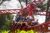 Promo OK Corral : 5€ de réduction sur le billet du parc d&rsquo;attractions