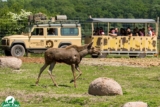 Promo parc Sainte-Croix en réduction : billet adulte et enfant 10% moins cher