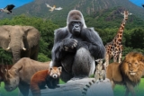 Promo réduction Zoo d’Arcachon : billet pas cher !