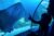 Code promo Aquarium de Porto : billets Sea Life moins chers