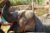 Code promo Terra Natura : double réduction billet du zoo de Benidorm