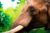 Code Promo Zoo Amnéville : réduction sur tous les billets