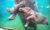 Zoo Beauval : place gratuite pour les 40 ans du parc