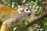 Promo Biotropica : billet adulte et enfant pas chers !