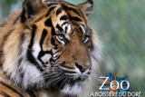 Promo Zoo La Boissière du Doré : billets adulte et enfants moins chers