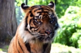 Promo Zoo Maubeuge : réduction tarif billet d&rsquo;entrée