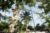 Promos Center Parcs : vente flash -400€, offres famille et « early booking »