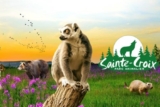 Vente privée Parc Sainte-Croix : 30% de réduction sur tous les billets !