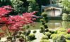 code promo réduction potager des princes à Chantilly